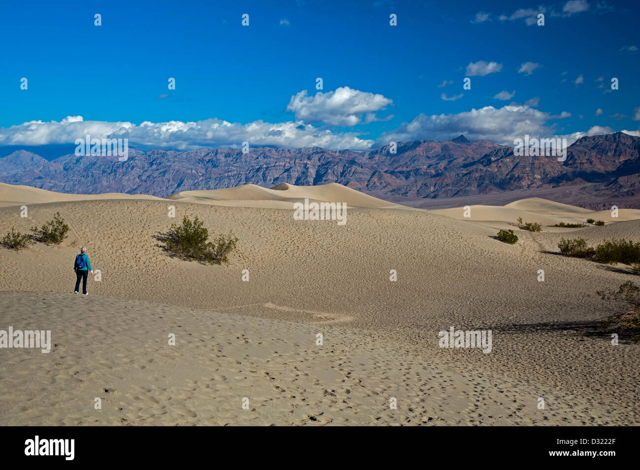 Death Valley Nationalpark, Kalifornien - Susan Newell, 64, Wanderungen auf den flachen Sanddünen Mesquite. Stockfoto