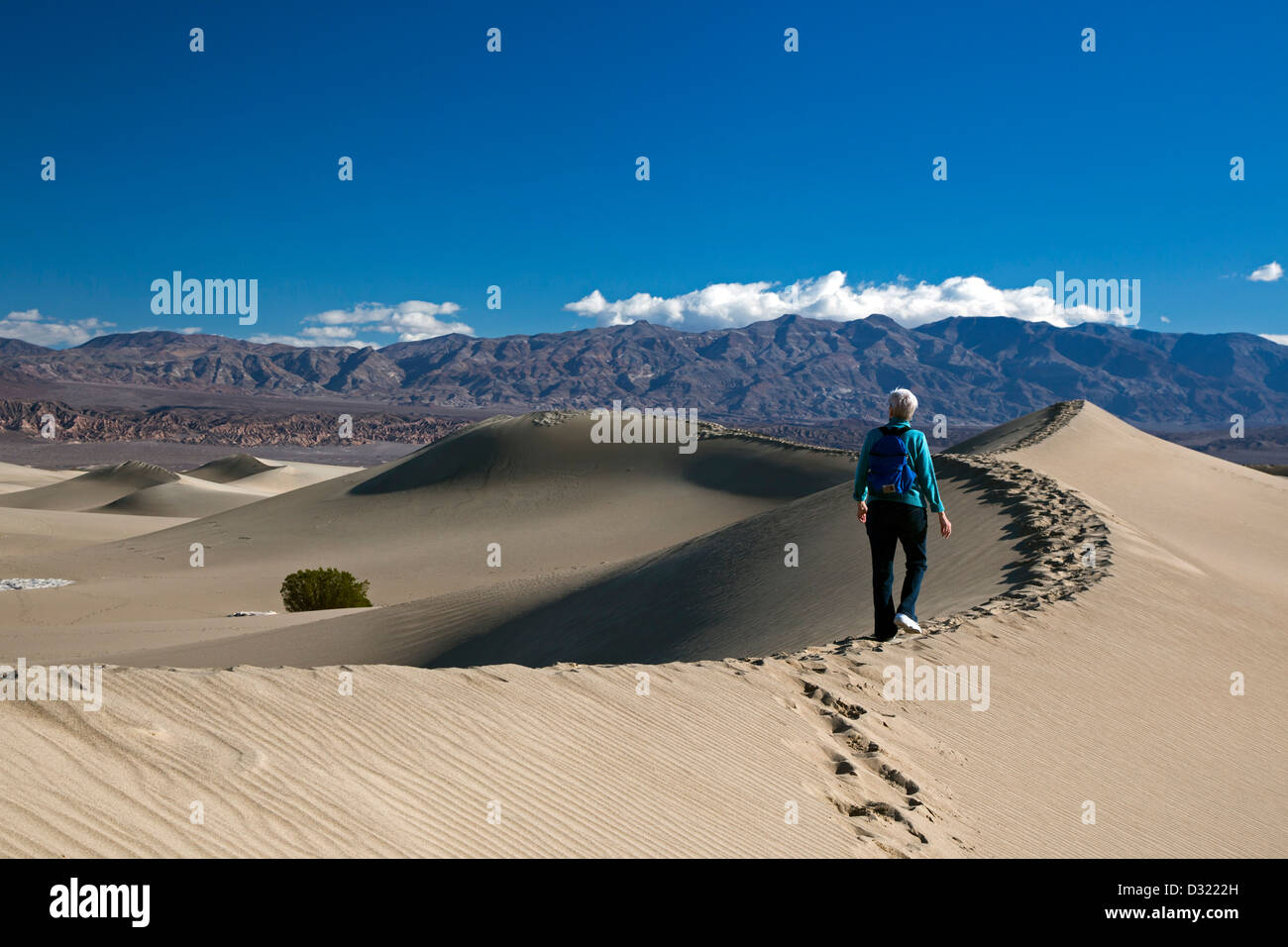 Death Valley Nationalpark, Kalifornien - Susan Newell, 64, Wanderungen auf den flachen Sanddünen Mesquite. Stockfoto