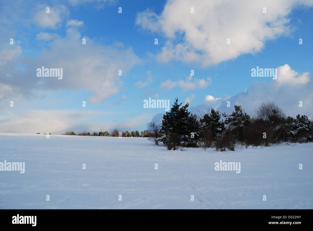 Einen dramatischen Verlauf der dunklen und hellen blauen Himmel und Wolken mit Blick auf eine große Decke von Schnee auf einer Wiese mit Bäumen am Horizont Stockfoto