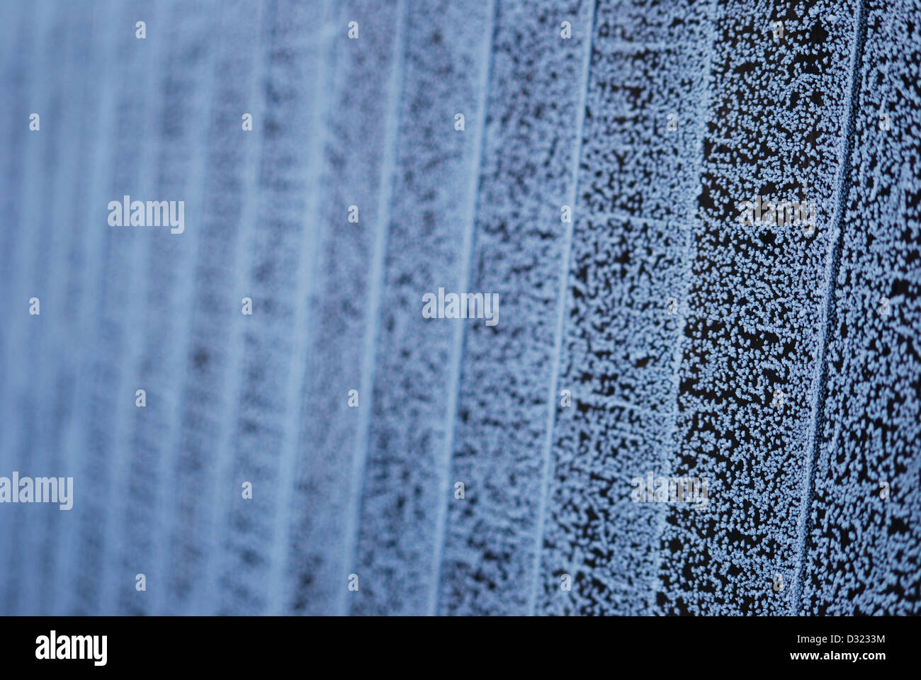 Ein gradient Zaun mit geringer Tiefe von Feld zeigt sehr detailliert von Frost mit kühlen Blautönen und allmählich verwischen Stockfoto