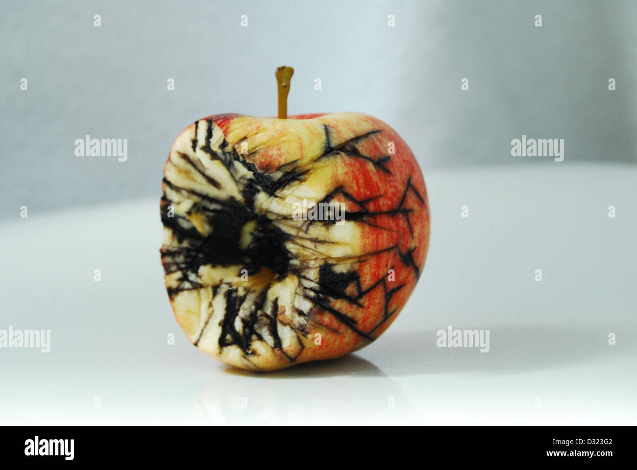 Ein roter und gelber Apfel auf einem weißen Hintergrund, schwarze Risse und Schimmel zeigen Verfall und Fäulnis Obst in gebissen Stockfoto