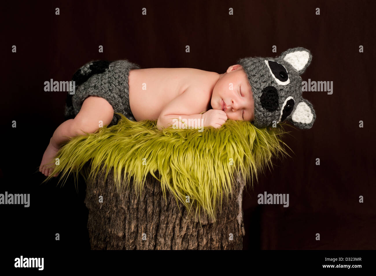 Schlafenden neugeborenen Baby Boy ein Waschbär Kostüm Stockfoto