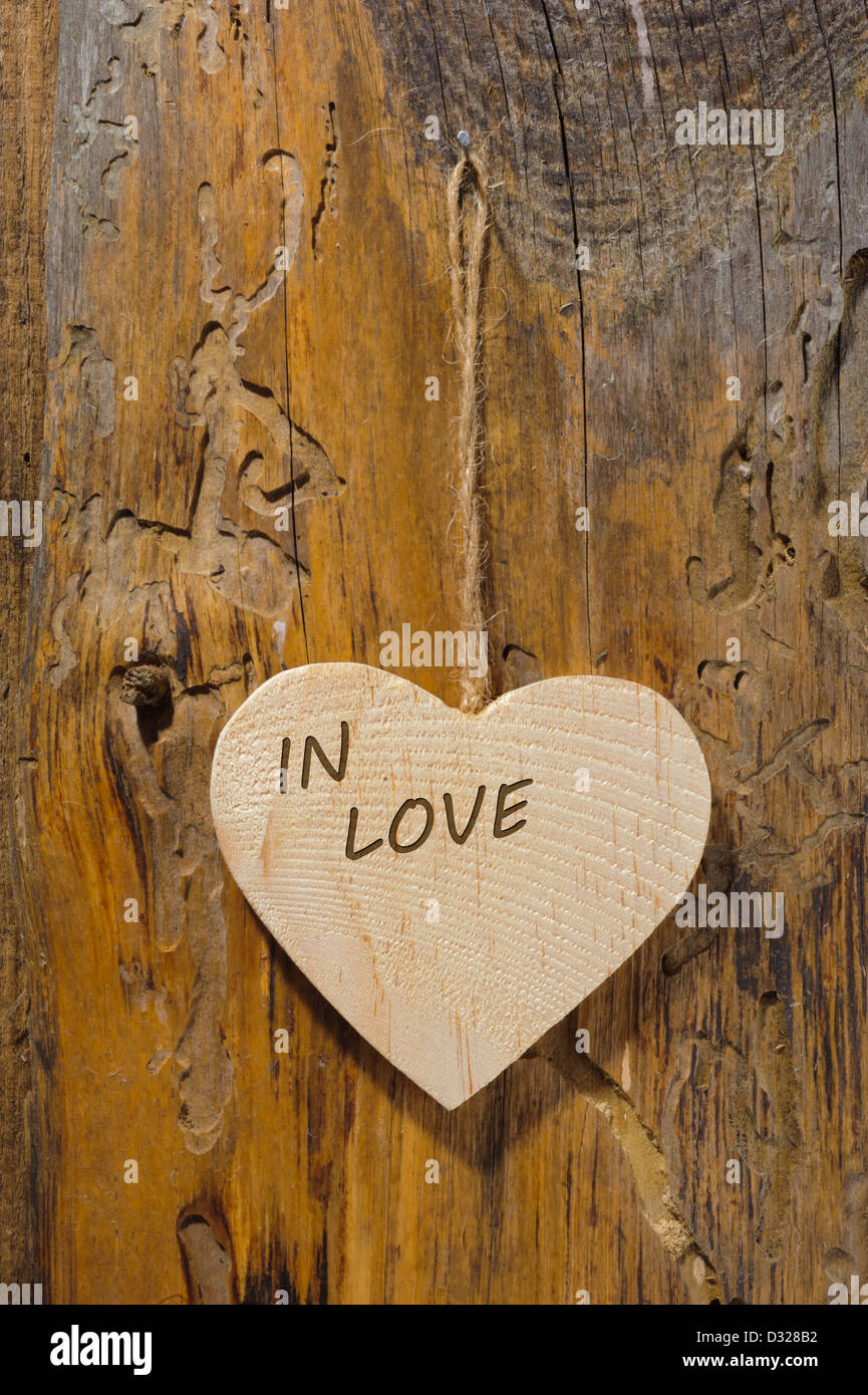 Herz der Liebe auf Holz und Baum Stockfoto