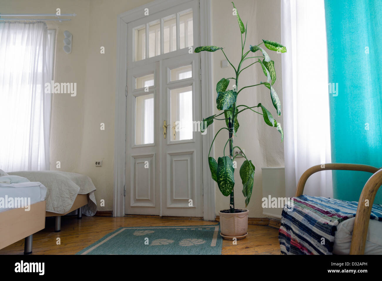 klassisches Interieur mit großen grünen Pflanze im Boden Topf Stockfoto