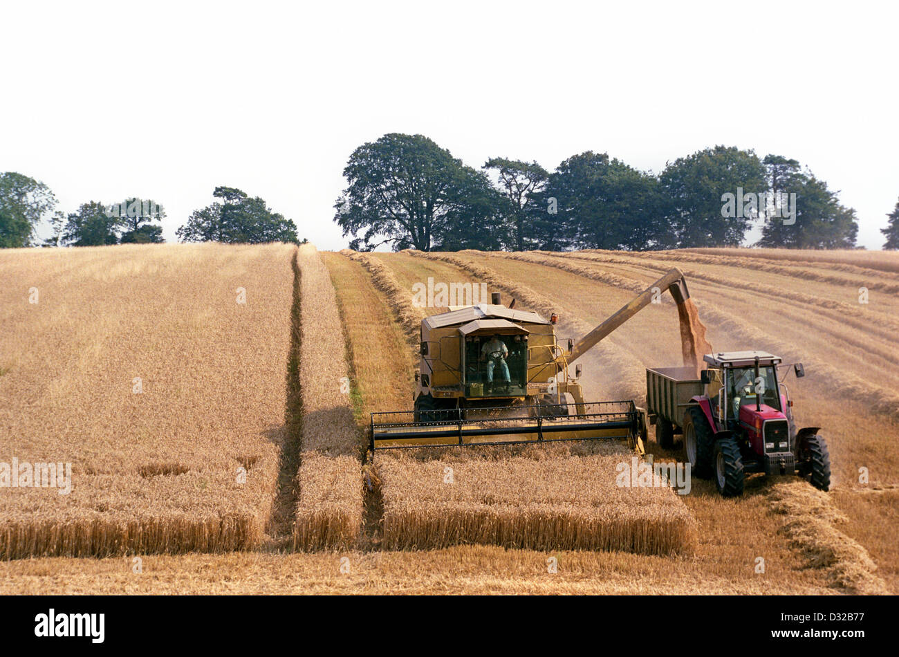 Mähdrescher im Bereich Aldbourne, Wiltshire, England Stockfoto