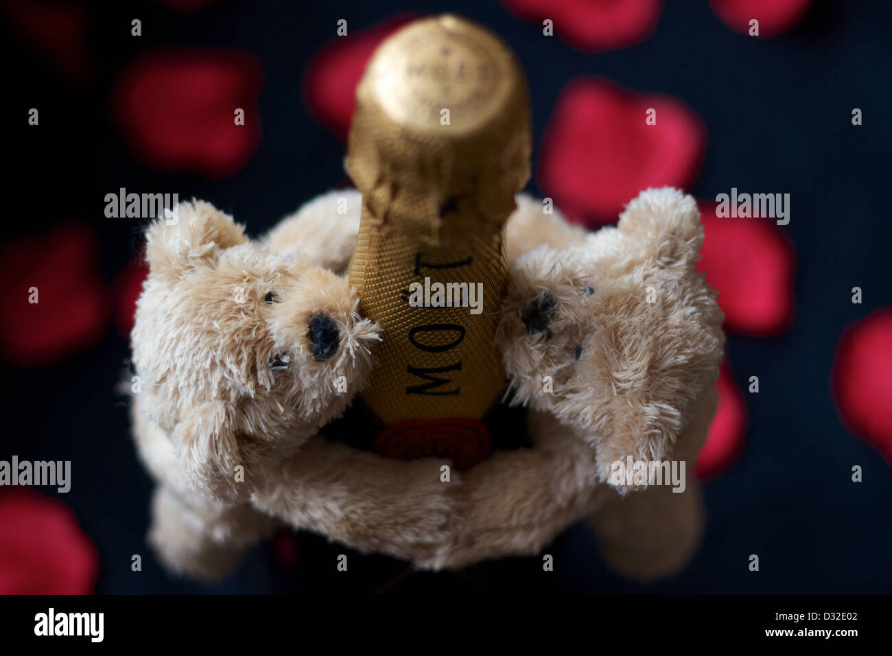 Bären umarmen Moet Champagner zum Valentinstag Stockfoto