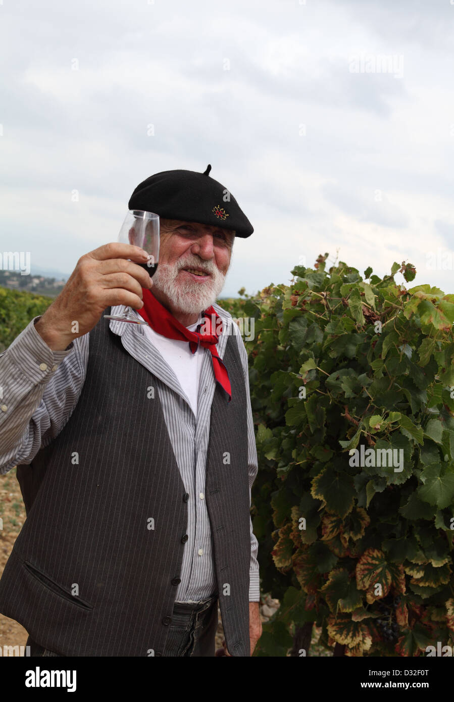 Ein alter Franzose verkostet Wein im Weinberg St Christol Pays de Lunel Herault, Ockitania, Languedoc Roussillon, Ockitania, Frankreich Stockfoto