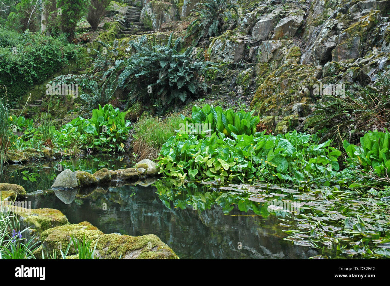 Felsen-Pool am Mount Congreve Estate Kilmeadon Co Waterford Irland April mit Erlaubnis Stockfoto