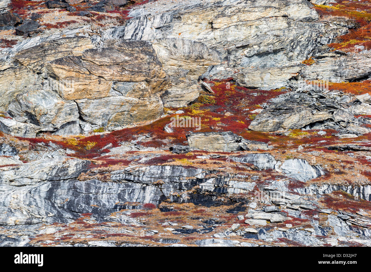 Detaillierte Muster in Granitfelsen, Berge, Scoresbysund, Grönland Stockfoto