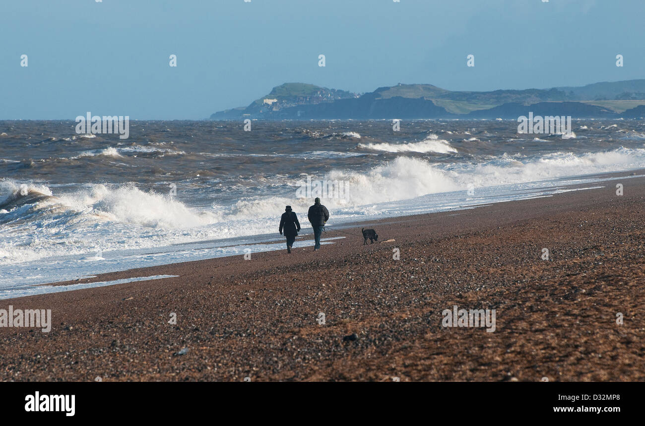 paar walking Hund auf Cley Beach, North Norfolk, england Stockfoto