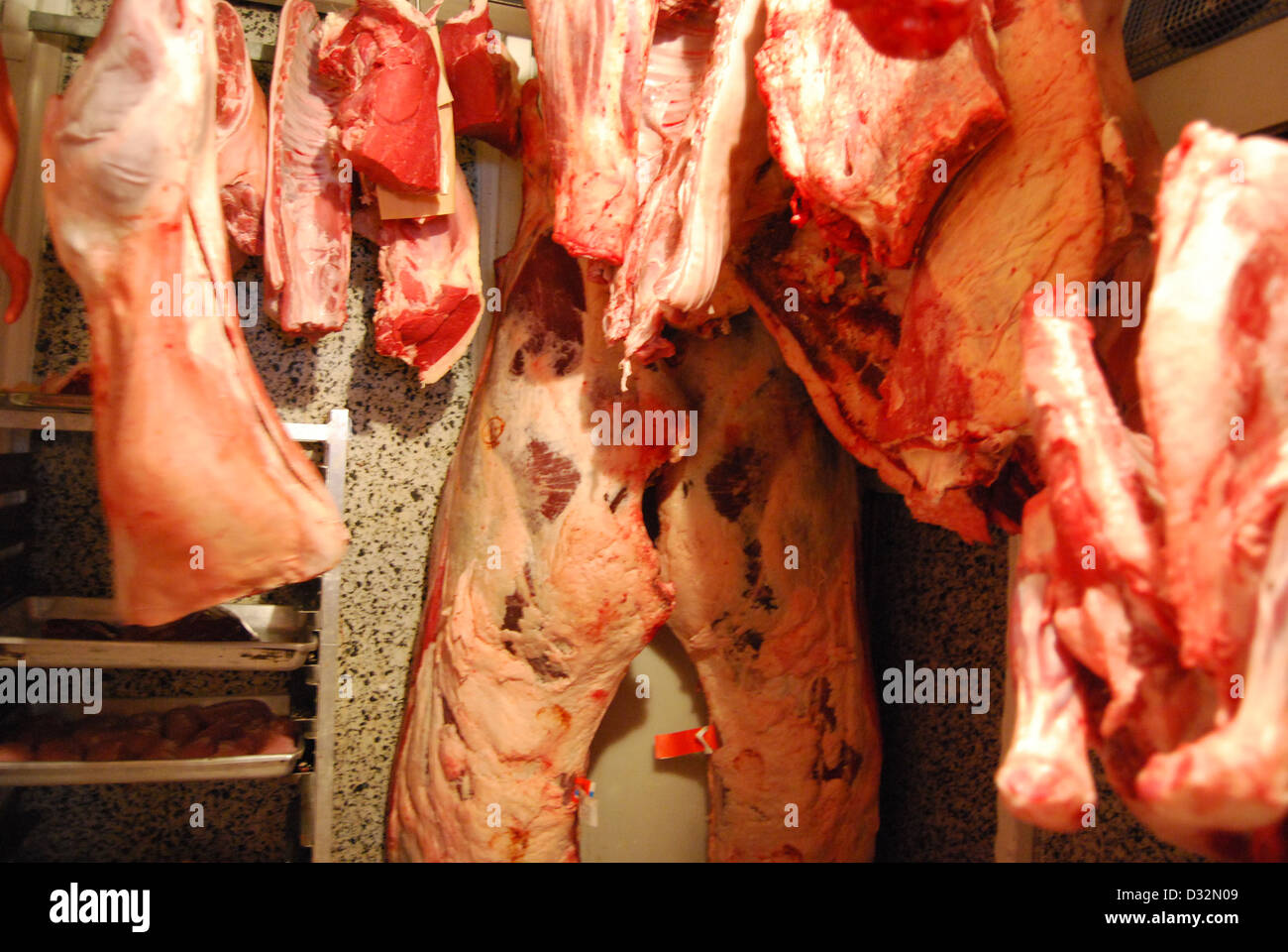 Platten von Fleisch und Wurstwaren, Schwein, Lamm, weißem und rotem Fleisch hängen in einem Metzger Kühllagerung warten darauf geschnitten und sortiert werden. Stockfoto