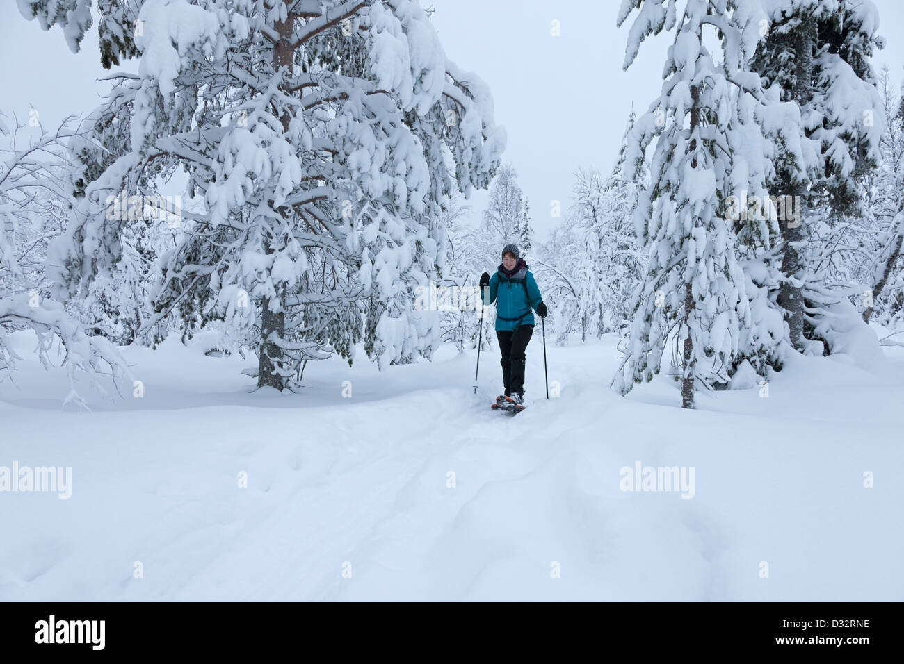 Trekker tragen Schneeschuhe im Pallas-Yllästunturin Kansallispuisto National Park in der Nähe von Yllas Lappland Finnland Stockfoto