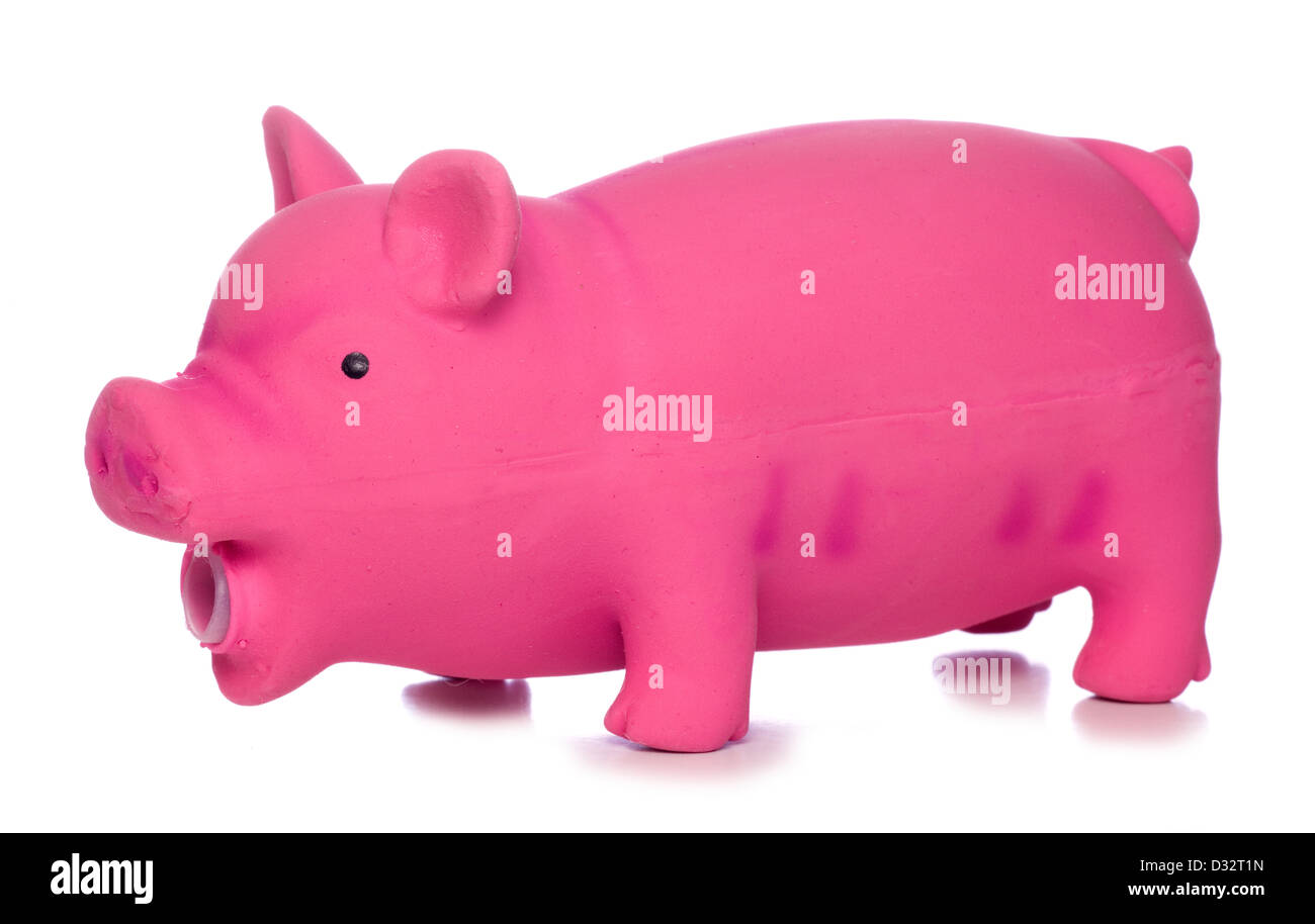Rosa Schwein Hund Spielzeug Studio Ausschnitt Stockfoto