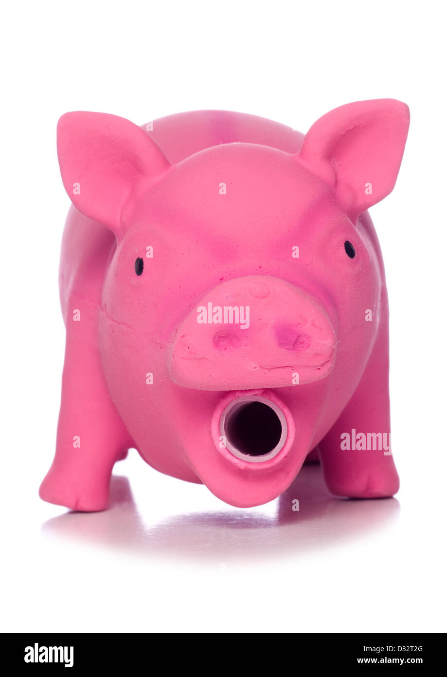 Rosa Schwein Hund Spielzeug Studio Ausschnitt Stockfoto