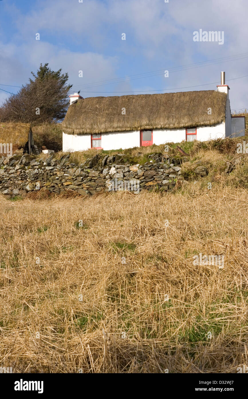 Traditionelle irische Reetdachhaus Stockfoto