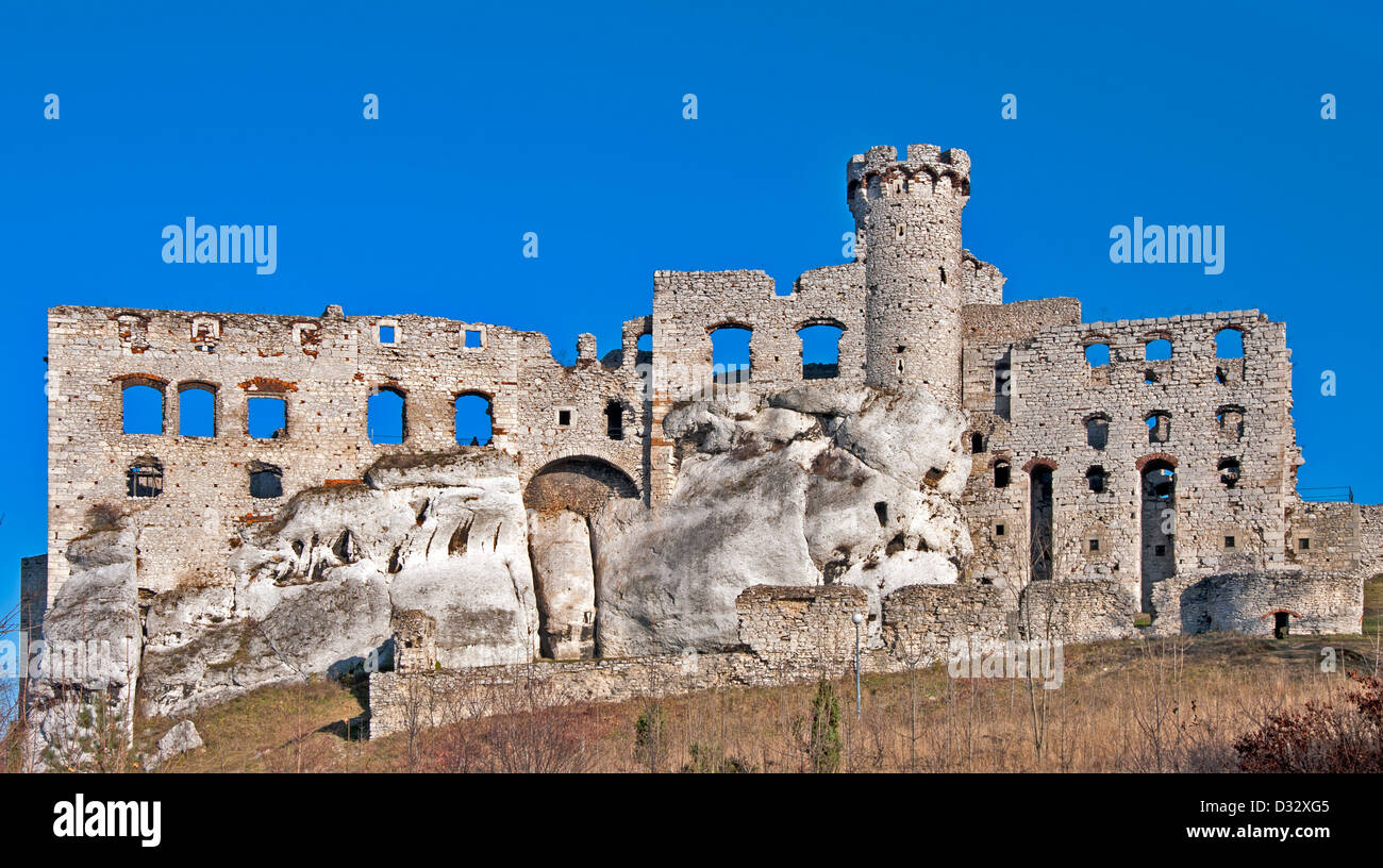 Die Ruinen der mittelalterlichen Burg in Ogrodzieniec in Polen. Stockfoto