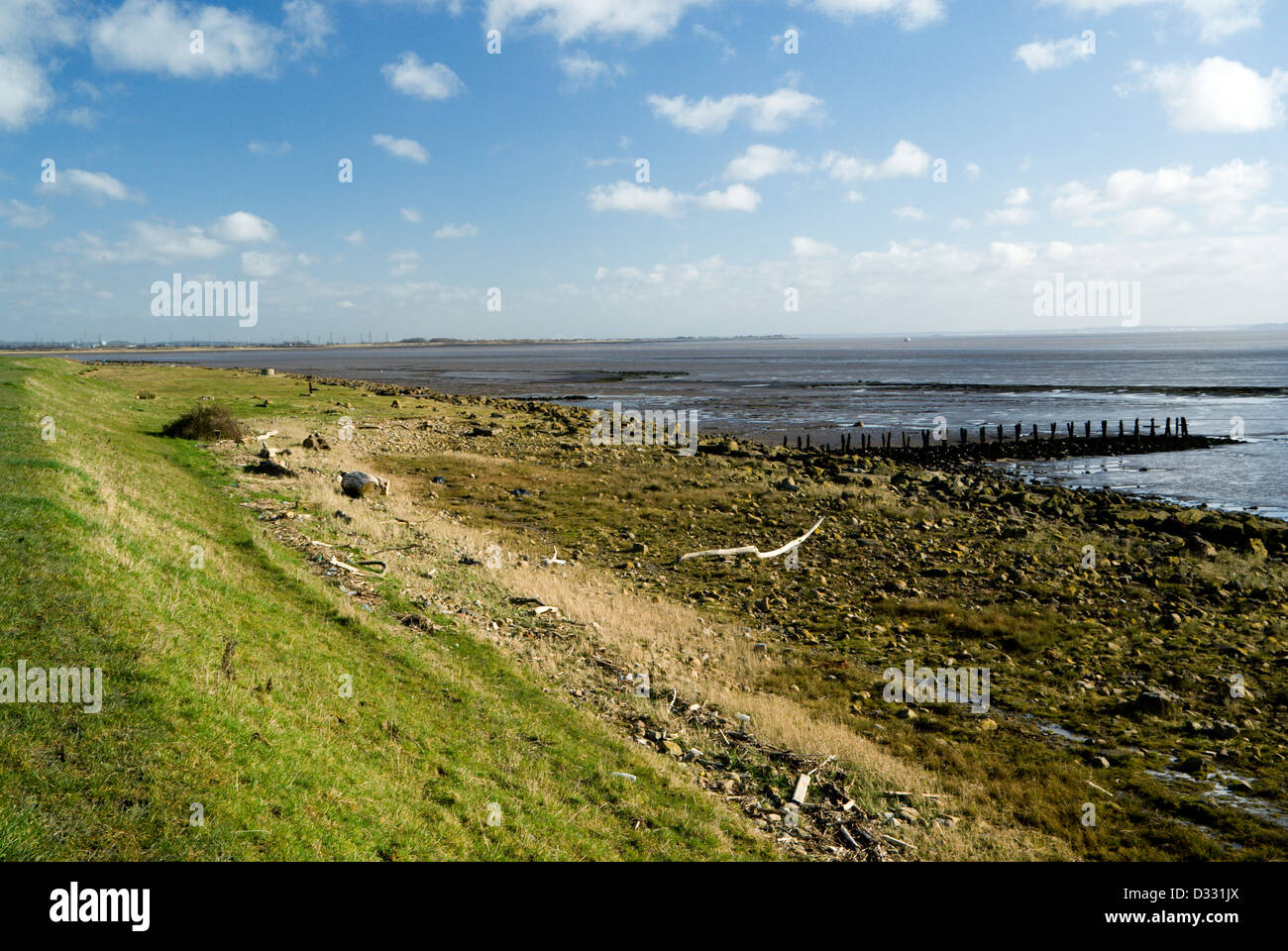 Gwent Ebenen, Vorland zwischen Newport und Cardiff, Südwales, uk. Stockfoto