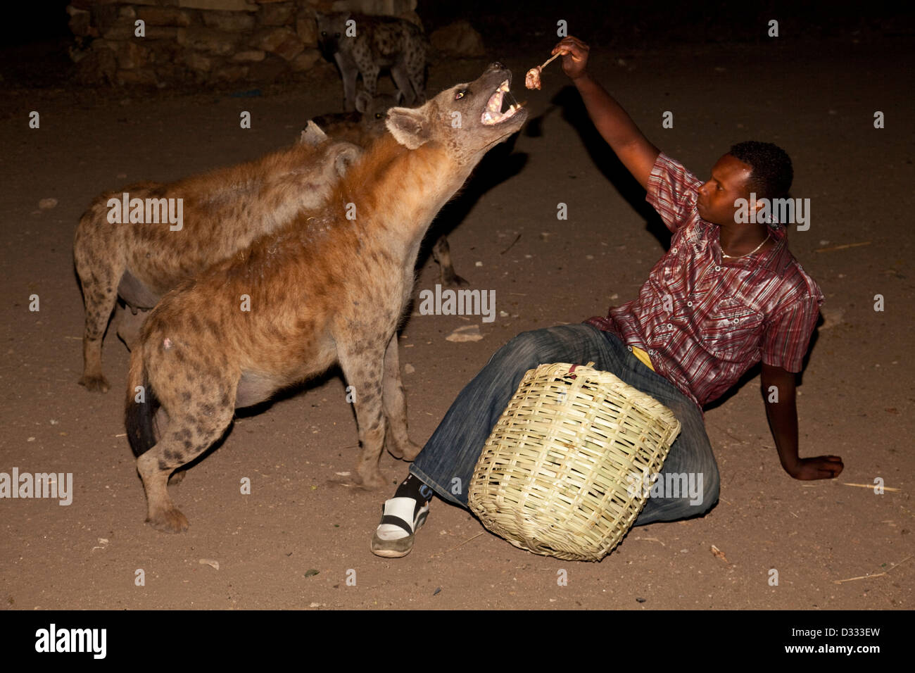 Lokale Mann Fütterung die Hyänen, Harar, Äthiopien Stockfoto