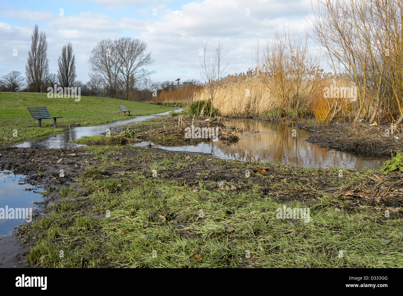 Verletzung aufgrund von Vegetationswachstum chocked Kanal Kanal. Fluß Quaggy Flut Linderung Schema, Sutcliffe Park, London, UK. Stockfoto
