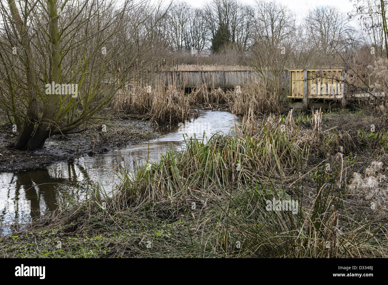 Gemischte Vegetation Einpflanzen, bypass-Kanal und Flussaue. Fluß Quaggy Flut Linderung Schema, Sutcliffe Park, London, UK. Stockfoto