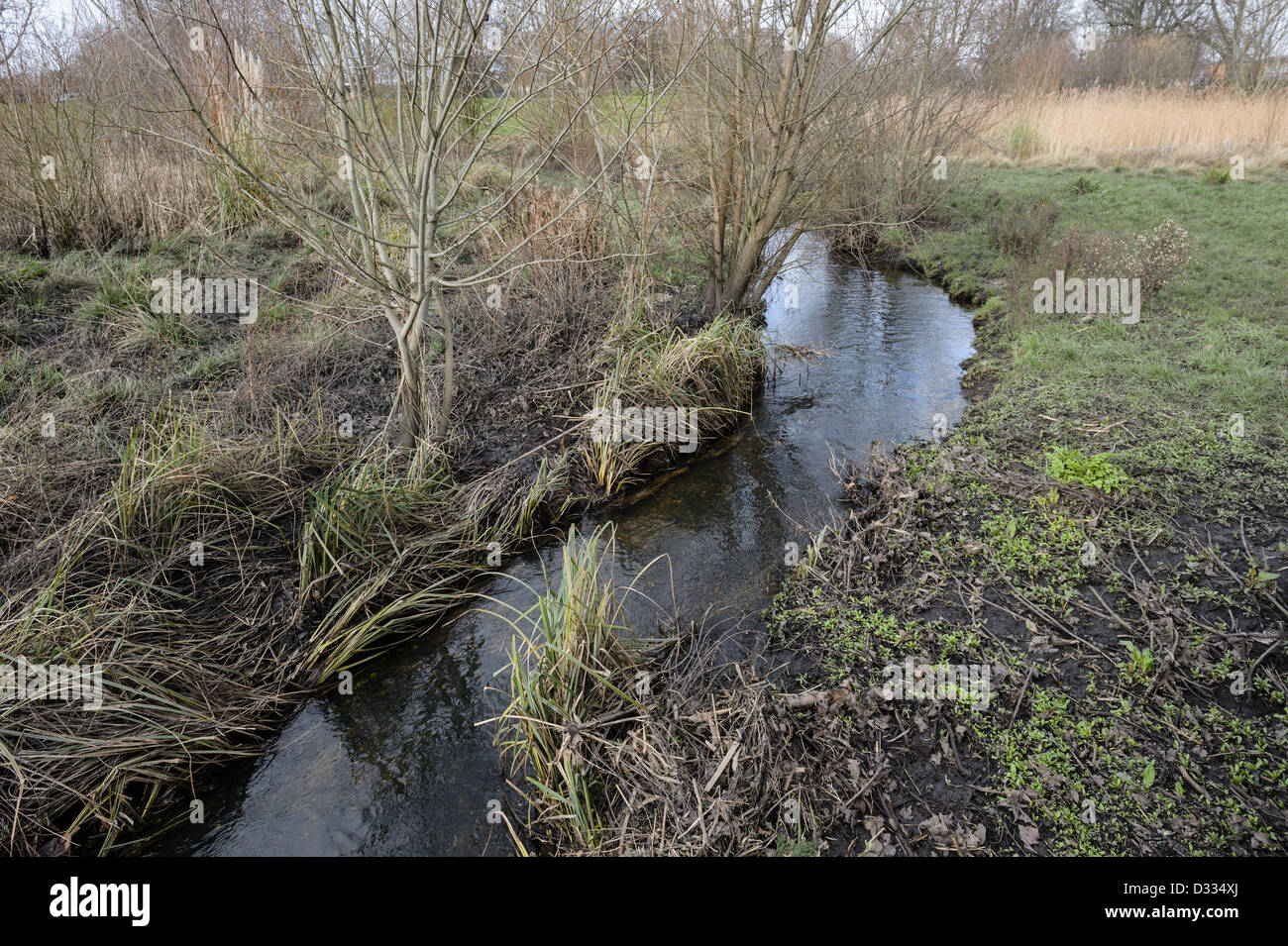 Gewundene Abschnitt Bypass-Kanal und bewachsenen Flussaue.  Fluß Quaggy Flut Linderung Schema, Sutcliffe Park, London, UK. Stockfoto