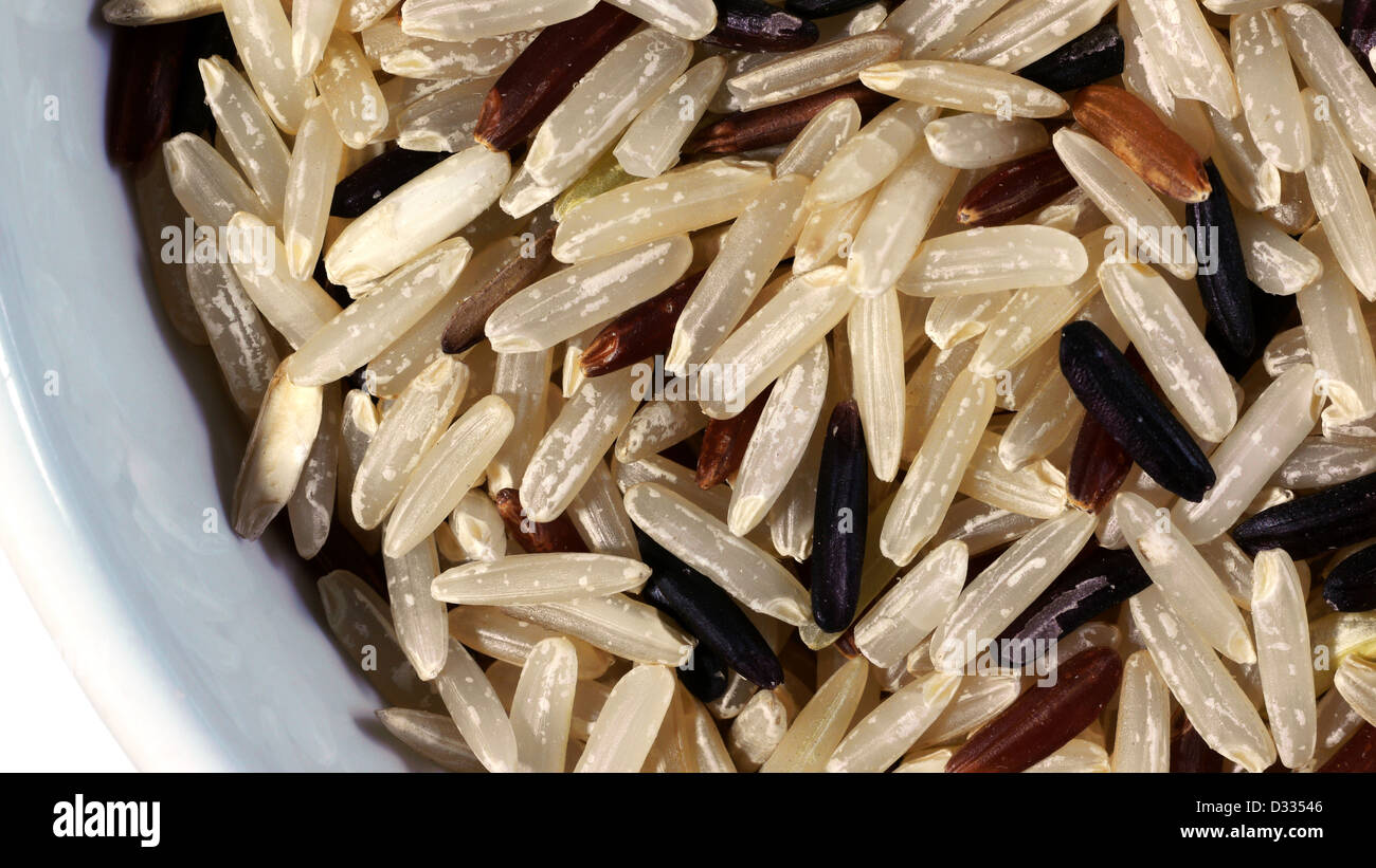 Viele Arten von gekeimten brauner Reis mit Keim oder der Embryo. Stockfoto