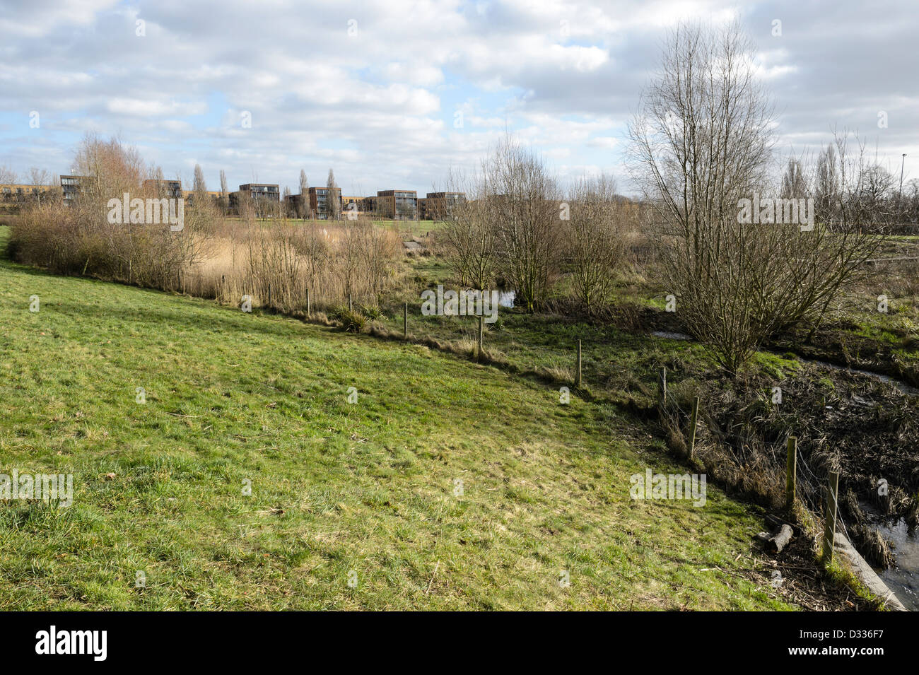 Rückhaltebecken - Kanal zurück Struktur Aussichtsplattform. Fluß Quaggy Flut Linderung Schema, Sutcliffe Park, London, UK. Stockfoto