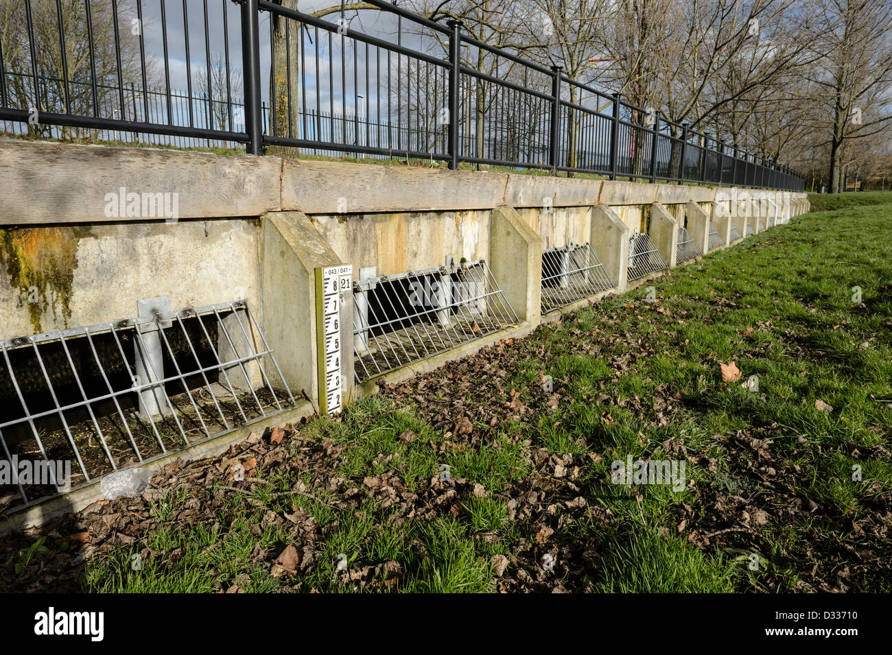 Eingedolten Fluß Quaggy neu gestaltet, als ein Weg. Fluß Quaggy Flut Linderung Schema, Sutcliffe Park, London, UK. Stockfoto
