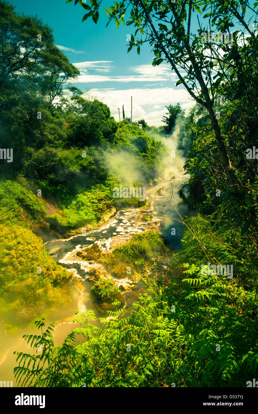 Schöne grüne Natur und dampfenden Bach, geothermische Gebiet an der Wai-O-Tapu, Rotorua, Nordinsel, Neuseeland. Stockfoto