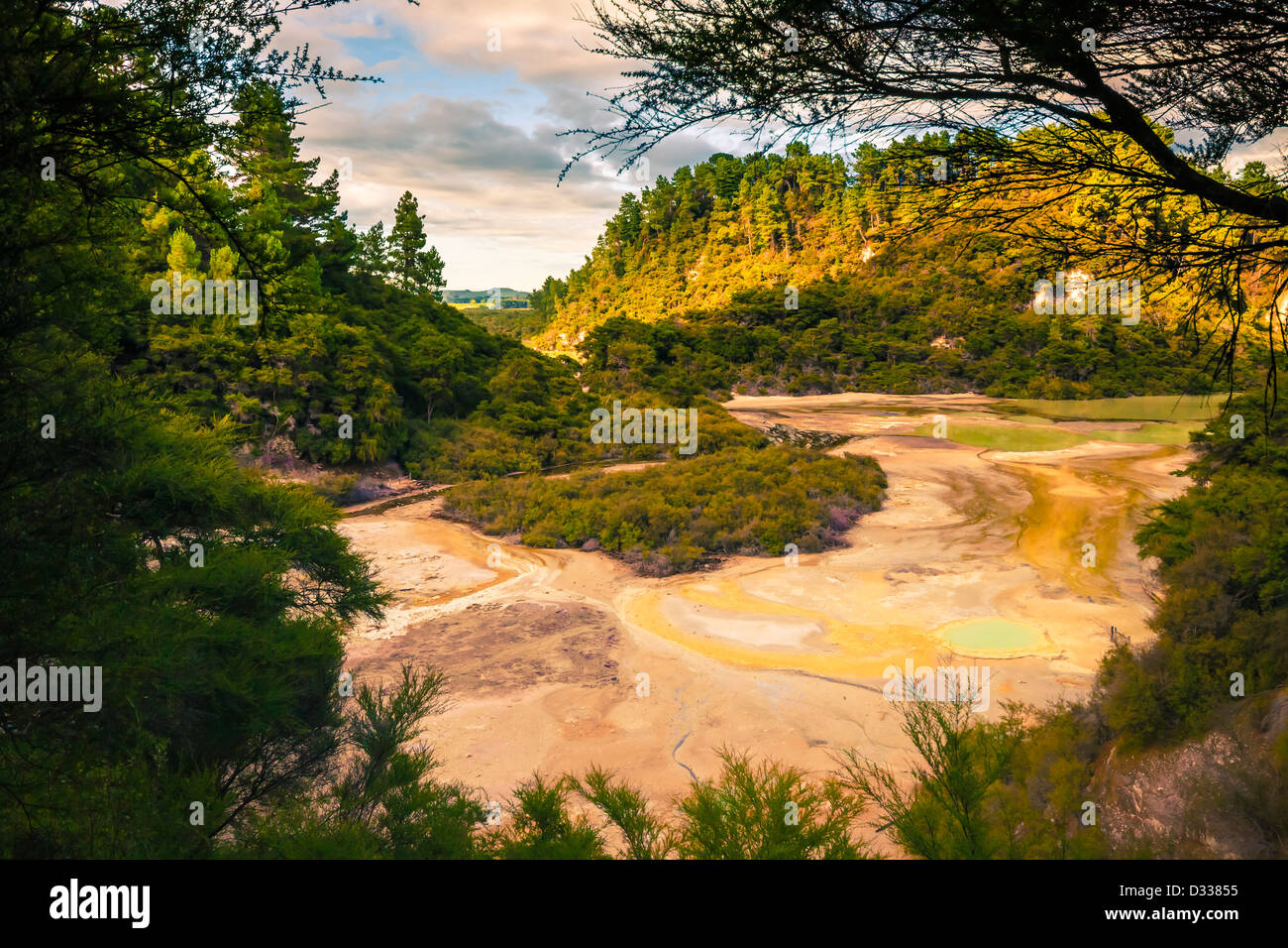 Grüne Wälder und bunte Thermalseen, geothermische Gebiet an der Wai-O-Tapu, Rotorua, Nordinsel, Neuseeland. Stockfoto