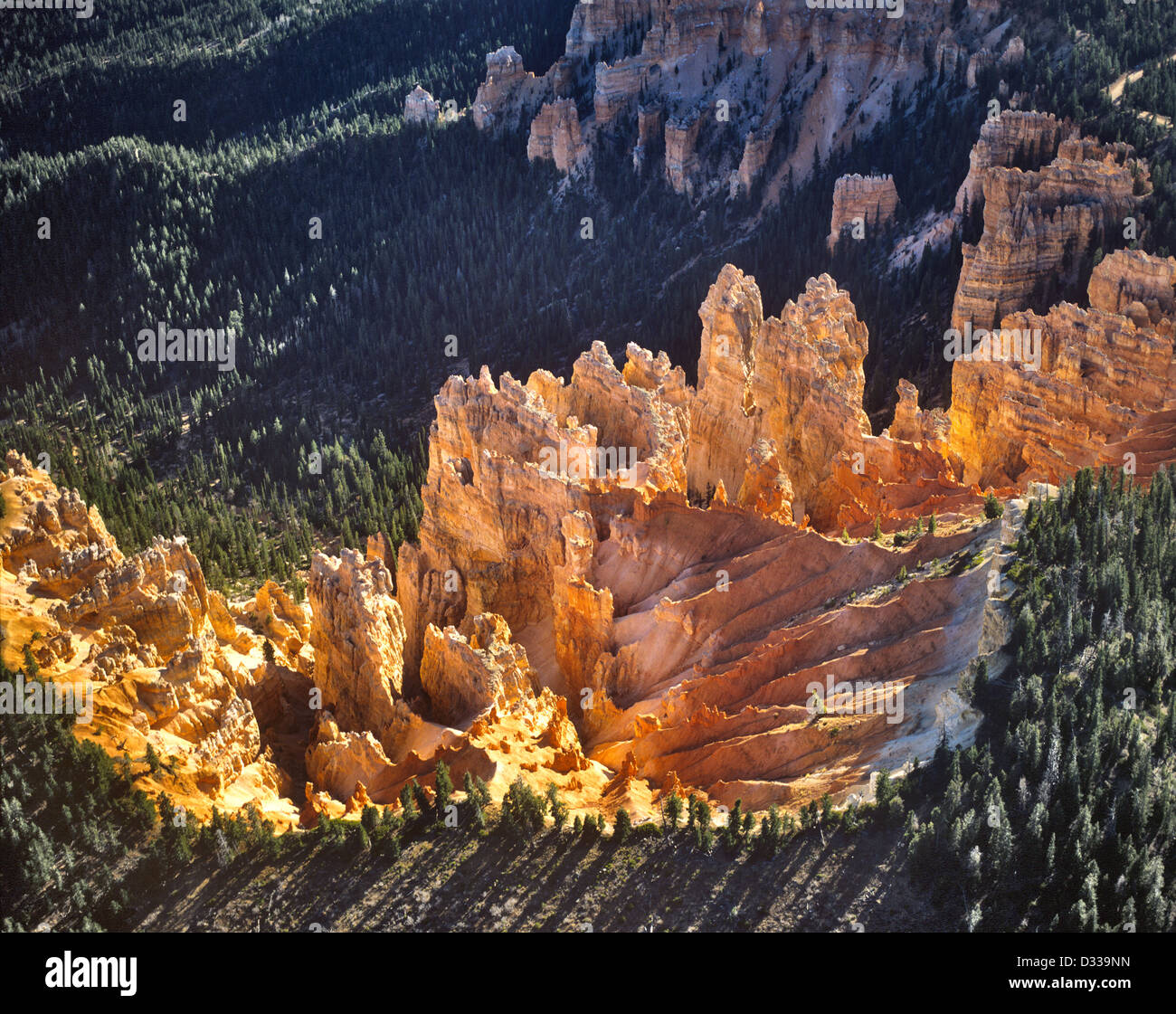 USA, Utah, Bryce-Canyon-Nationalpark, Luftaufnahme der rosa Felsen der Bryce Canyon Stockfoto