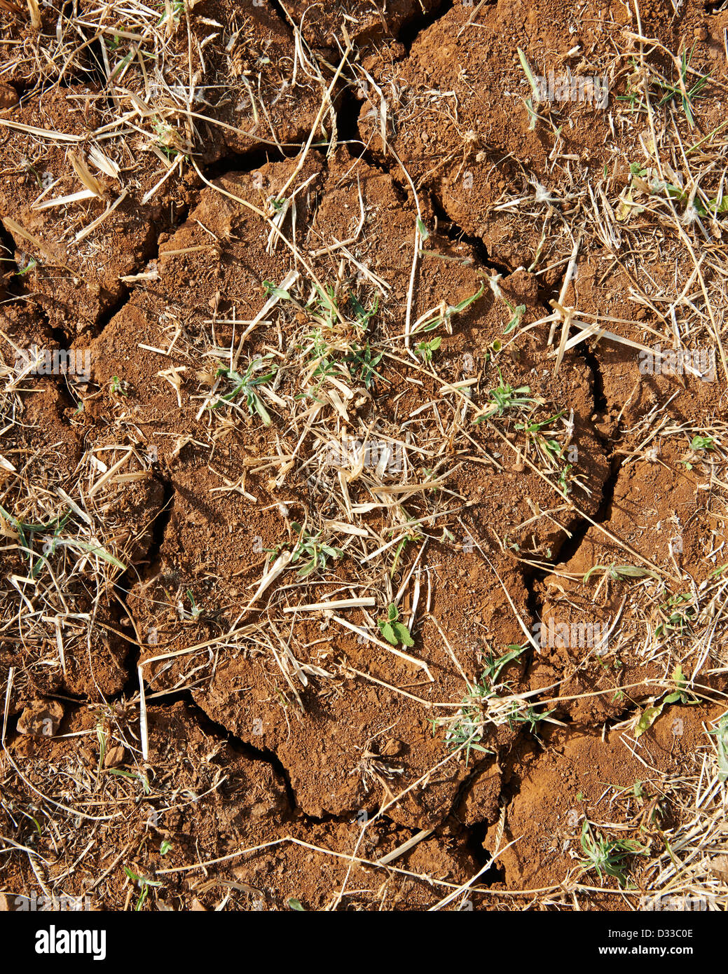 Die trockene trockene rissige Erde Dürre in Äthiopien, Afrika Stockfoto