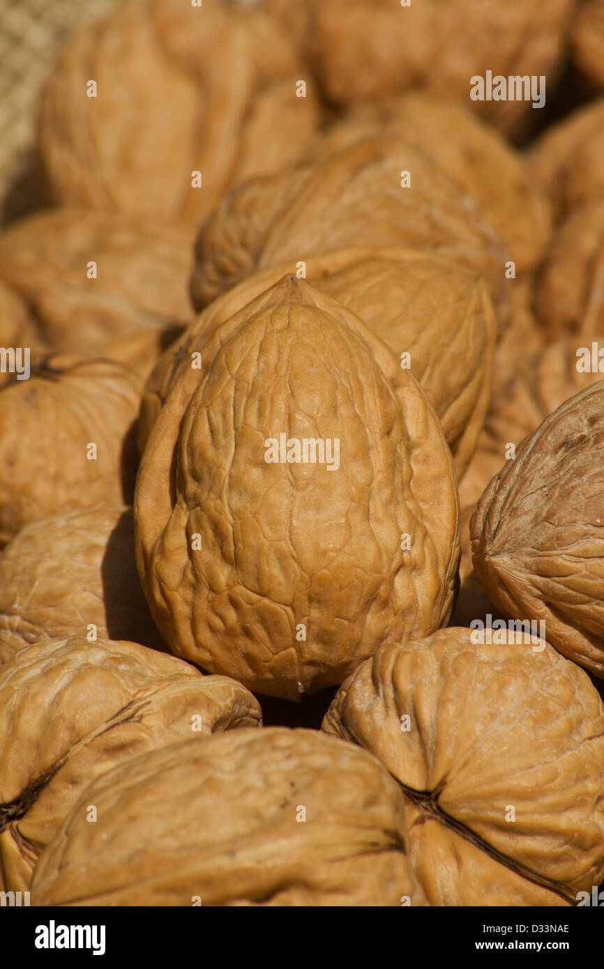 Walnüsse Stockfoto