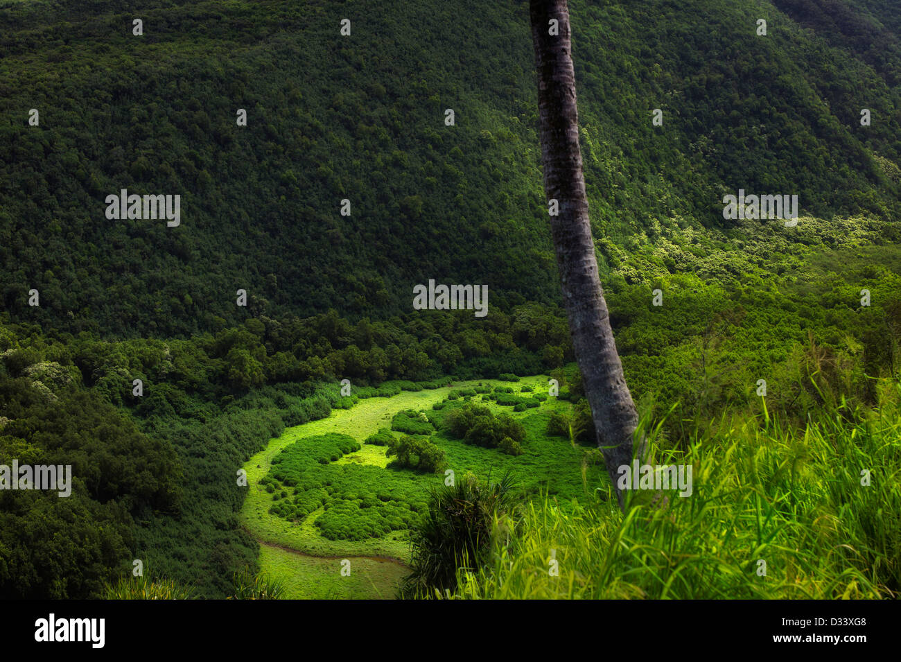 Pololu Valley. Big Island, Hawaii Stockfoto