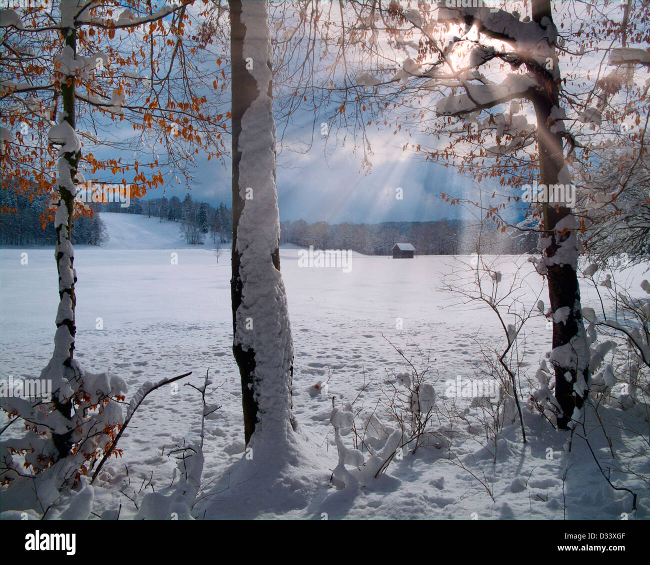 DE - Bayern: Winter-Szene in der Nähe von Bad Tölz Stockfoto