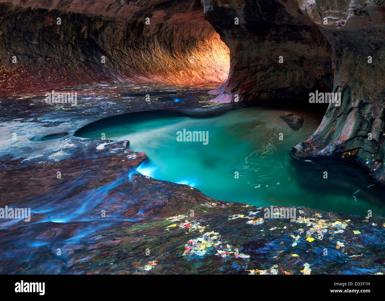 Die U-Bahn. Abzweigung links des North Creek. Zion Nationalpark, Utah. Stockfoto