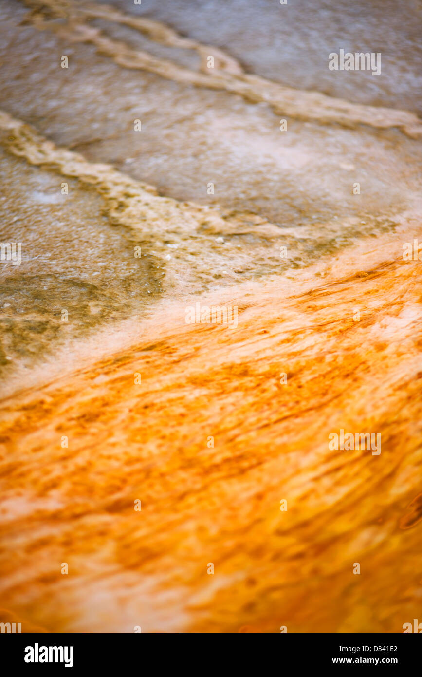 Detail eines Geothermie-Bereichs im Yellowstone-Nationalpark, Wyoming, USA Stockfoto