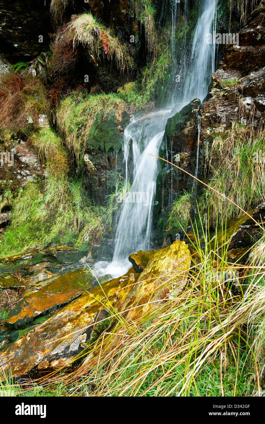 Wasserfall abstürzende Felsen und viel Grün in einem Wald. Stockfoto