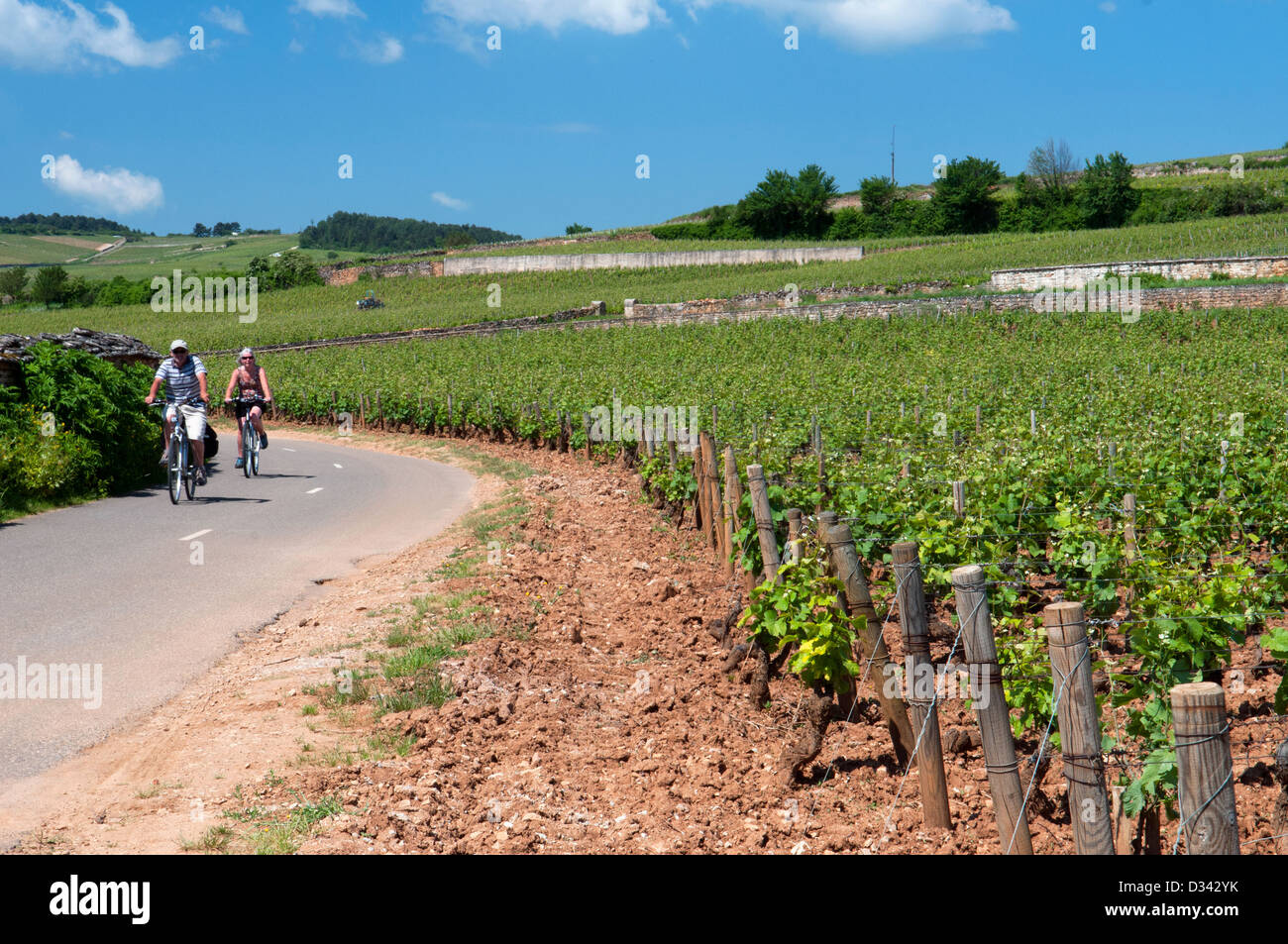 Radfahrer-Beaune-Bourgogne-Frankreich Stockfoto