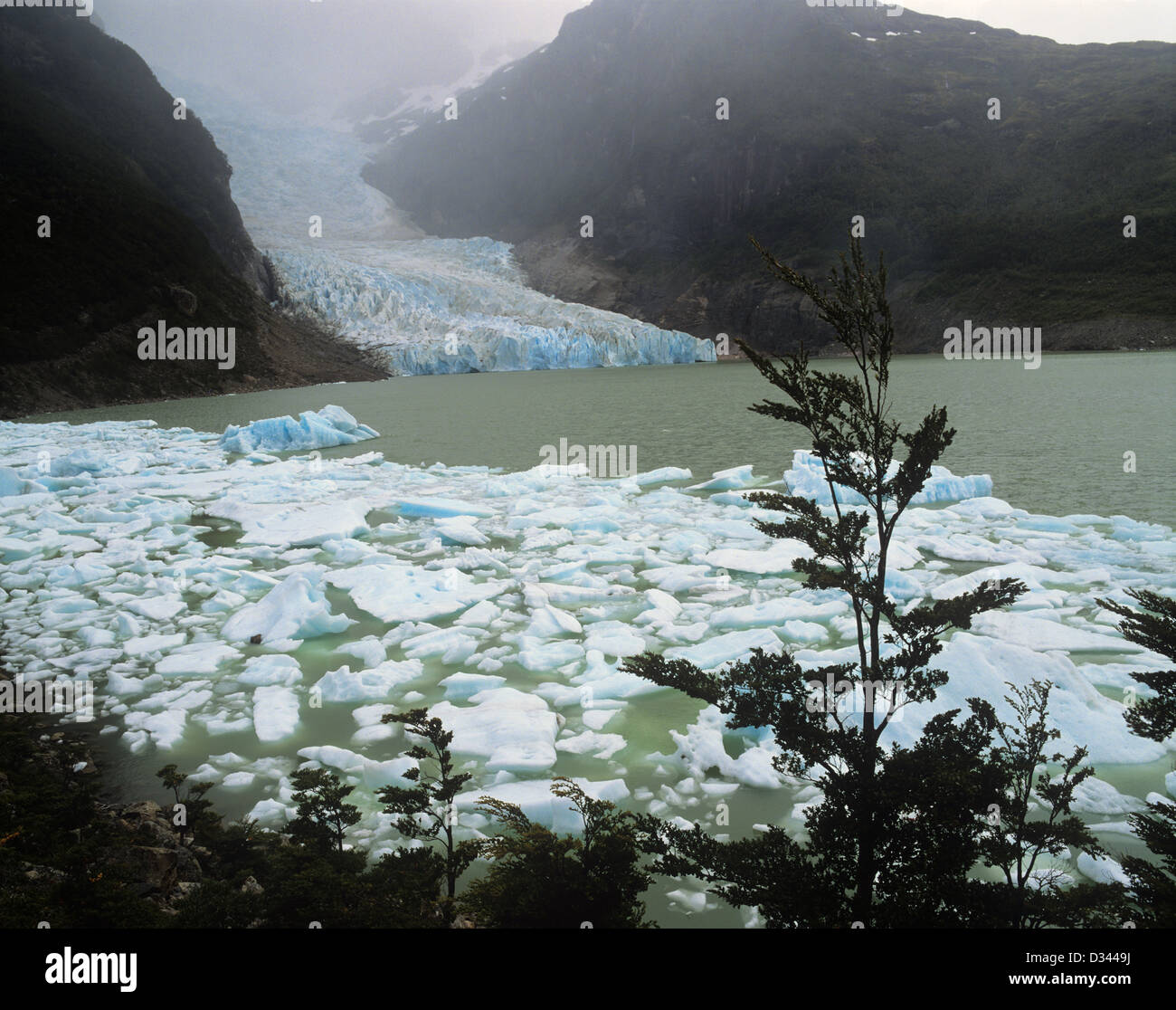 Chile, Region Magallanes, Seno Ultima Esperanza, letzte Hoffnung Ton, Serrano Gletscher sendet Eisbergen in einer Lagune Stockfoto