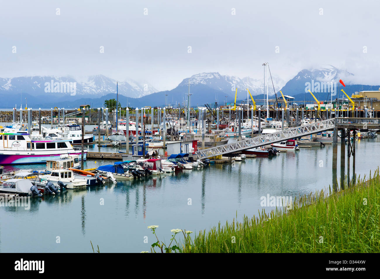 Charta und kommerziellen Fischerboote im Hafen, Homer, Alaska, USA Stockfoto