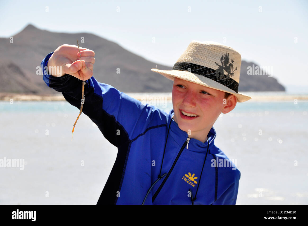 Junge hält Wurm vom Wattenmeer auf Isla Espíritu Santo, Baja California, Mexiko. Stockfoto