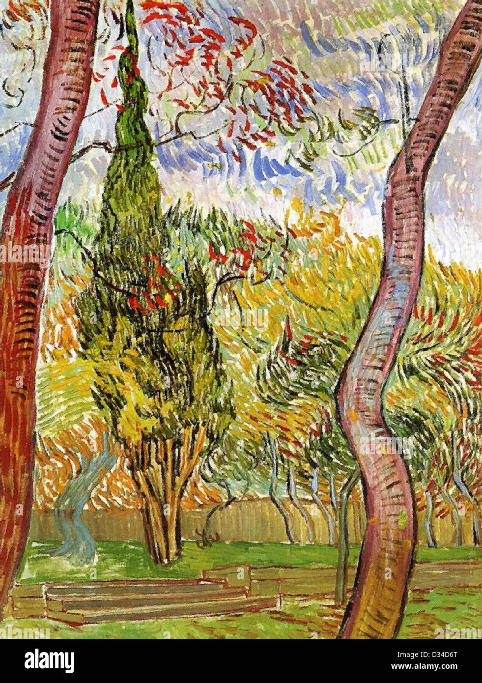 Vincent Van Gogh, der Garten von SaintPaulHospital. 1889. Post