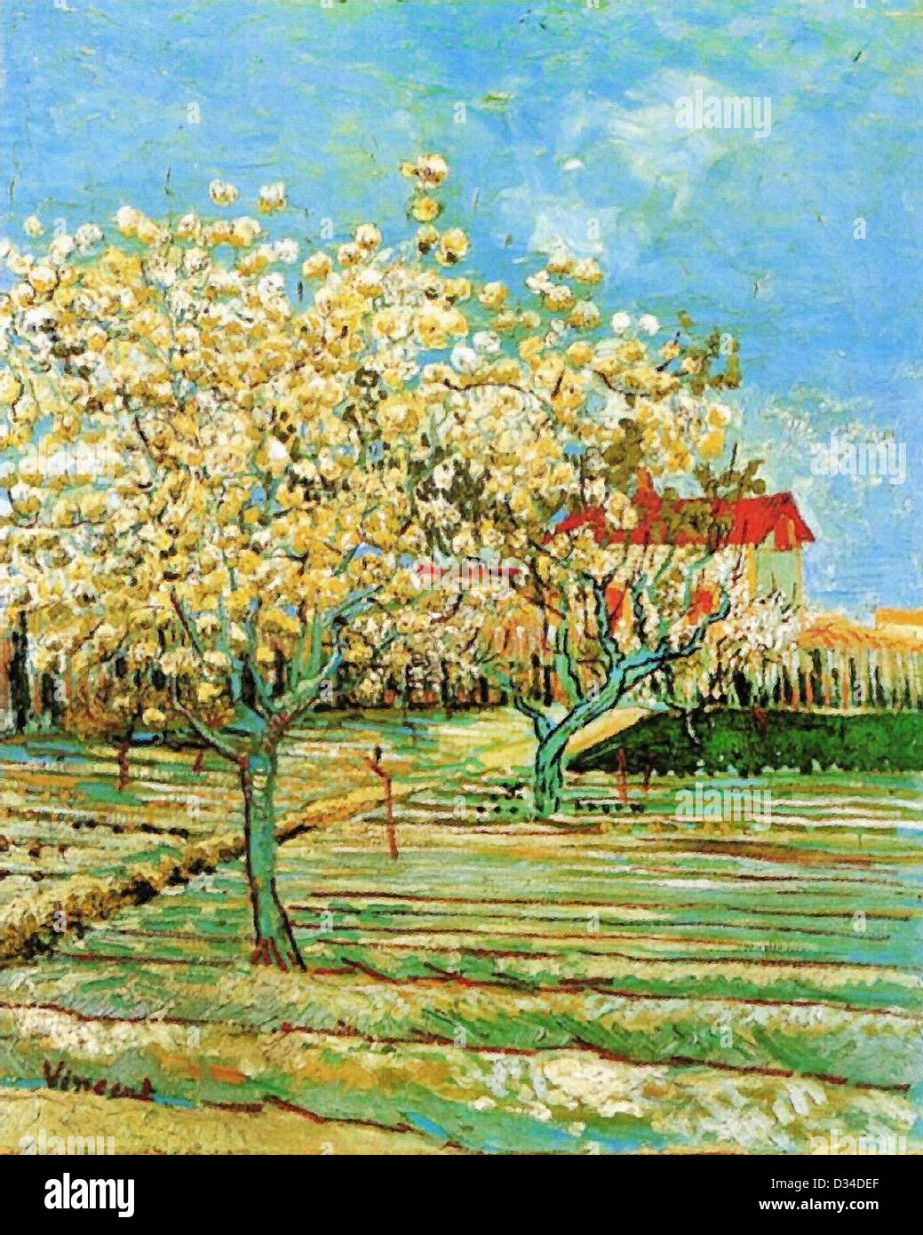 Vincent Van Gogh: Orchard in Blüte. 1888 Öl auf Leinwand. Privatsammlung. Post-Impressionismus. Stockfoto