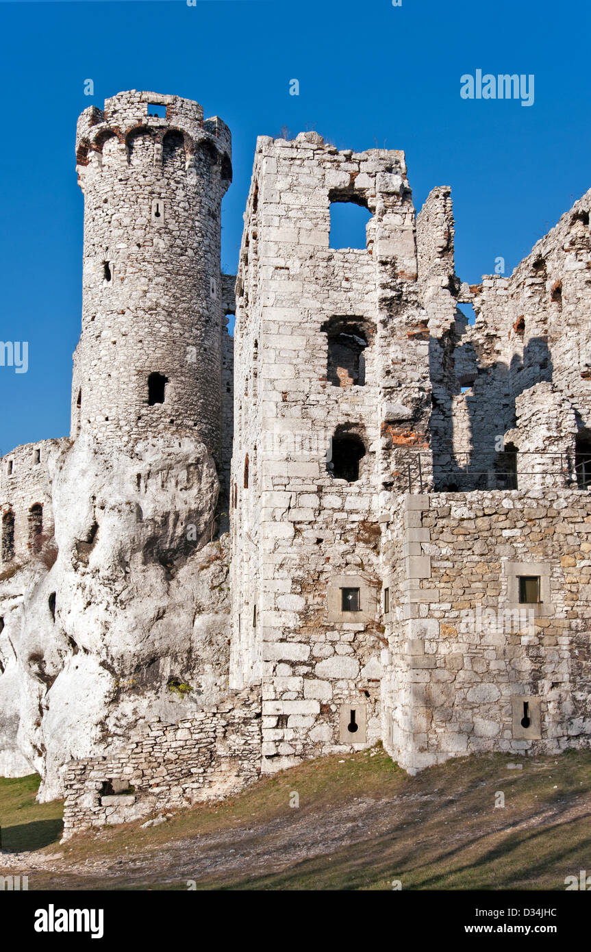 Die Ruinen der mittelalterlichen Burg Ogrodzieniec mit dem Turm auf dem Felsen. Polen. Stockfoto