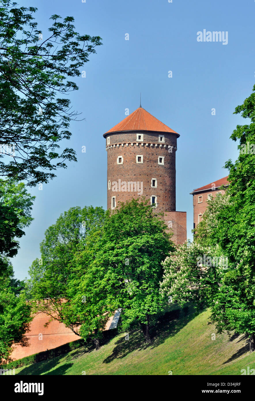 Sandomierz Turm am Schloss Wawel in Krakau, Polen Stockfoto