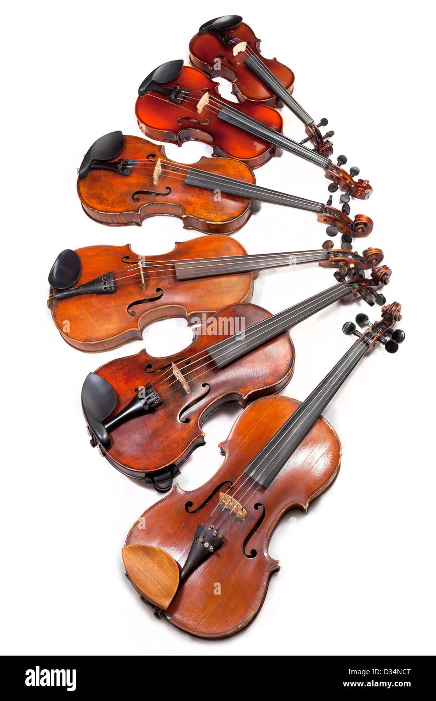 verschieden großen Geigen auf weißem Hintergrund Stockfoto