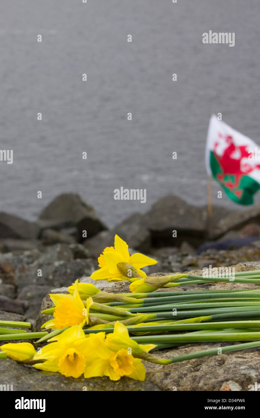 Tryweryn, Wales, UK. 9. Februar 2013.   Eine Kundgebung war statt, auf dem Tryweryn Damm um 50 Jahre zu gedenken, da eine Bombe auf der Website von Demonstranten explodiert war. Das Hochwasser von Capel Celyn, erstellen ein Reservoir um Liverpool mit Wasser zu versorgen, war ein Schlüsselmoment in der walisischen Politik. Auf dem Stausee zum Gedenken an die Menschen mussten aus ihren Häusern ermöglichen den Bau des Stausees wurden Kränze und Narzissen übersät. Bildnachweis: atgof.co / Alamy Live News Stockfoto