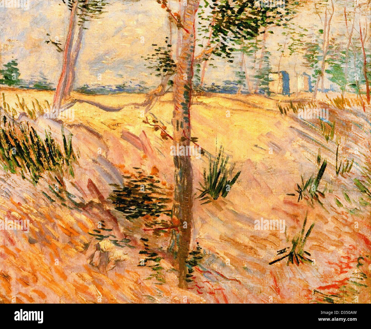 Vincent Van Gogh, Bäume in einem Feld an einem sonnigen Tag. 1887. Post-Impressionismus. Öl auf Leinwand. P. und N. de Boer-Stiftung Stockfoto