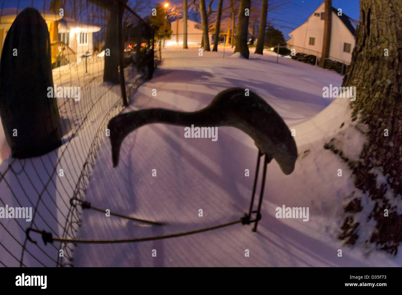 9. Februar 2013 - Merrick, New York, USA - am Abend nach Blizzard Nemo Long Island South Shore Gemeinschaften hits sind nach Hause Hinterhöfe im Schnee bedeckt. Eine Kran Vogel Rasen Statue war angebunden an Zaun, in den starken Winden schützen. (180 Grad fisheye-Objektiv-Ansicht) Stockfoto